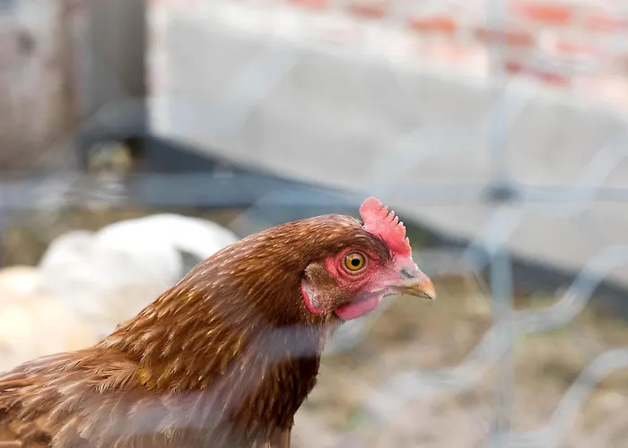 Naturzeit Daire Horsmar